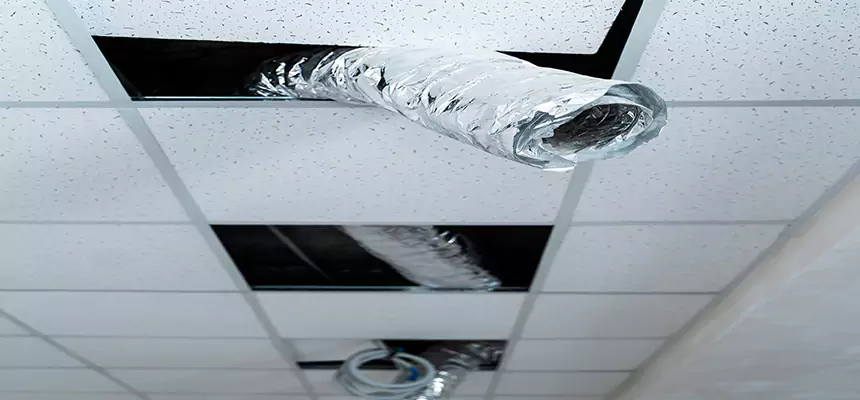 Affordable HVAC Sanitizing After Pest Removal in Fort Pierce