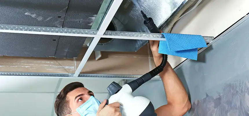 Our Air Duct Rodent Removal Services in Fort Pierce, FL