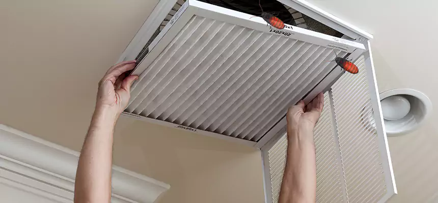 Our Insect Removal from Air Ducts Services in Fort Pierce, FL
