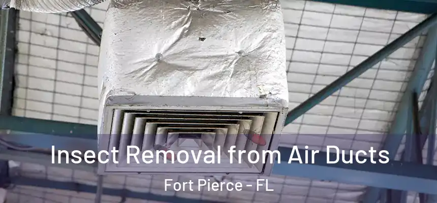  Insect Removal from Air Ducts Fort Pierce - FL