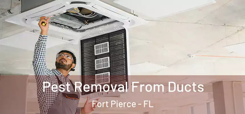 Pest Removal From Ducts Fort Pierce - FL