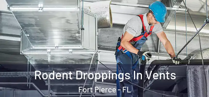 Rodent Droppings In Vents Fort Pierce - FL