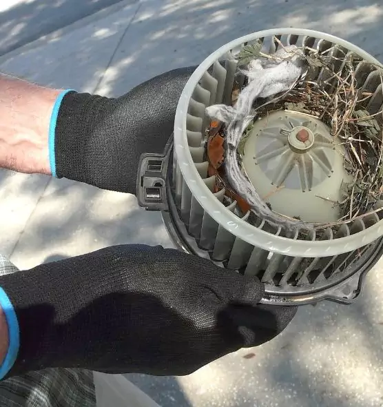 About Air Duct Rat Removal in Fort Pierce, FL