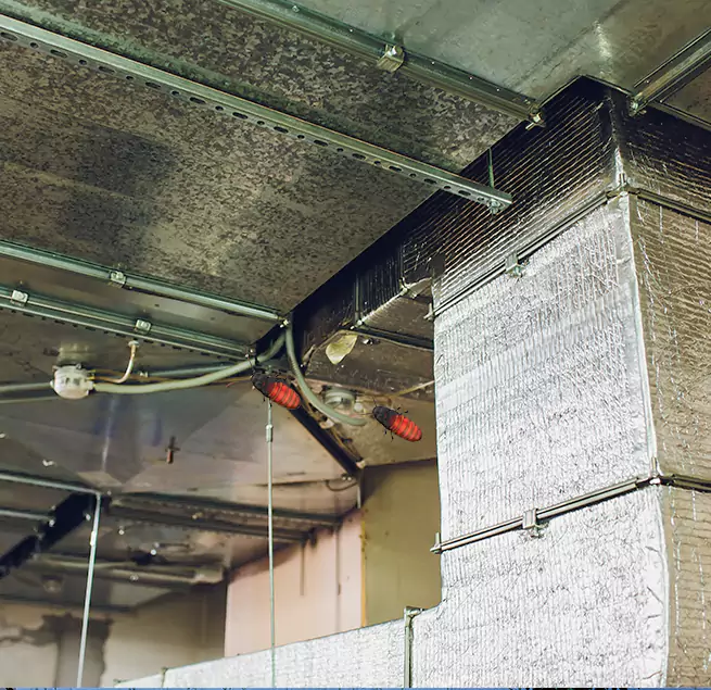 Why Homeowners & Businesses Trust Us in Fort Pierce, FL?