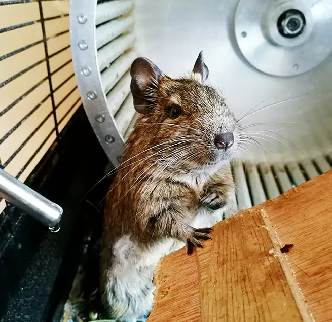 Why Homeowners & Businesses Trust Us Fort Pierce, FL?