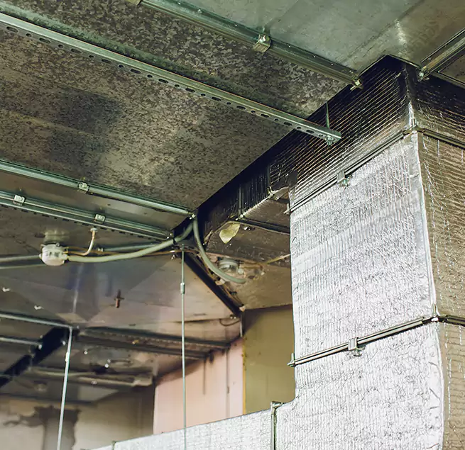 Why Homeowners & Businesses Trust Us in Fort Pierce, FL?